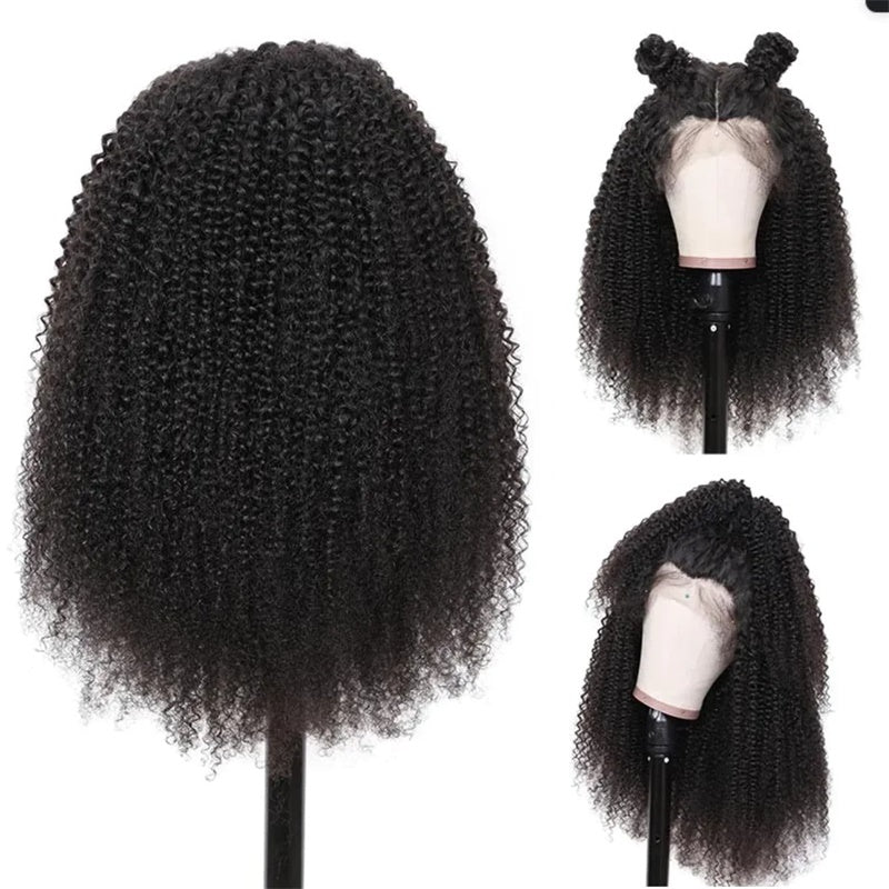 Rose Hair Kinky Curly 360 Lace Wig Human Hair Wig