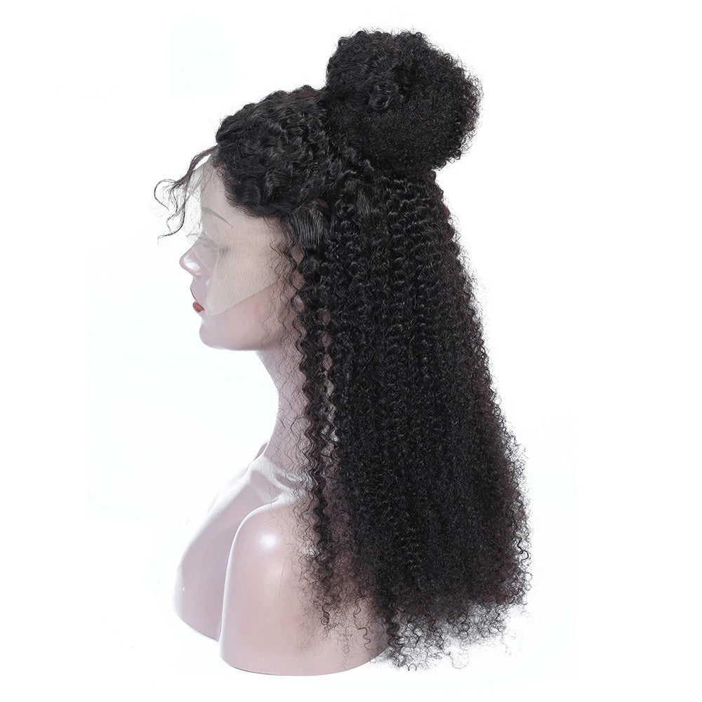 Pre Plucked Swiss 360 Lace Kinky Curly Wig Best Brazilian Human Virgin RoseHair Wig - Rose Hair